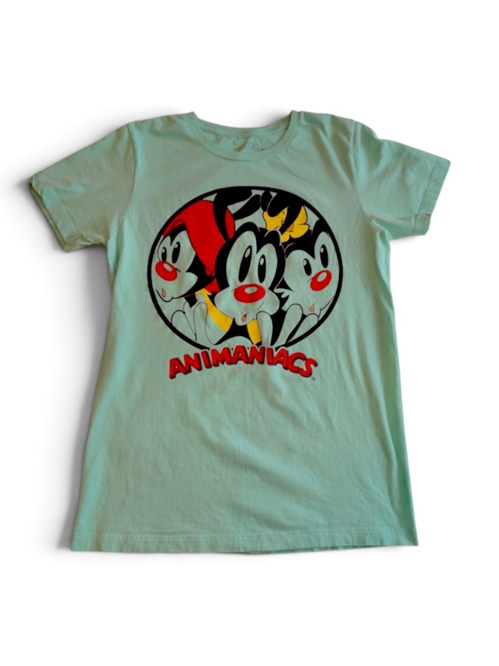 Animaniacs Mint Graphic Tee Shirt Size Small Women’s Yakko Wakko Dot Cartoon